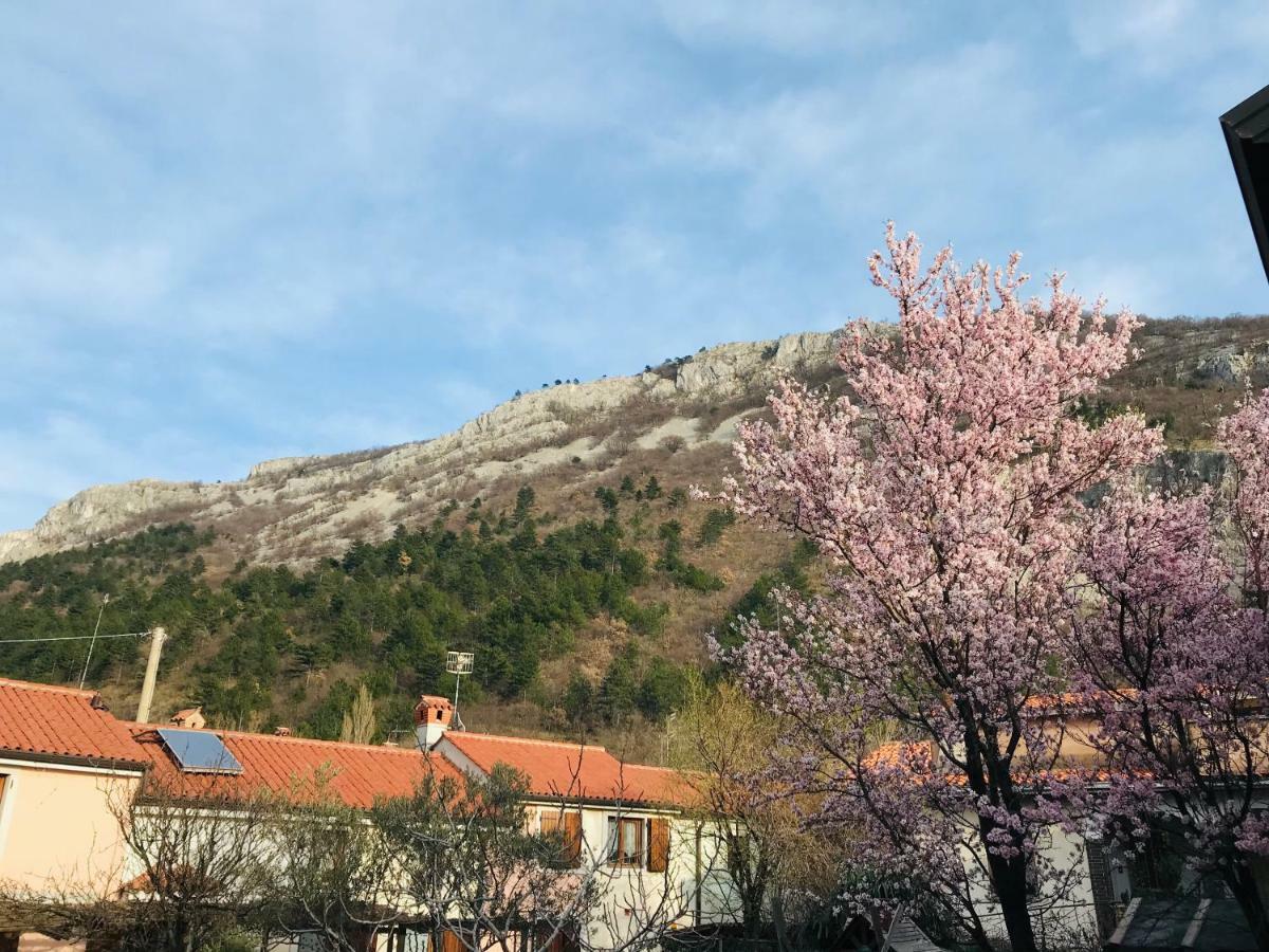 B&B "Sotto Il Volto" Trieszt Kültér fotó